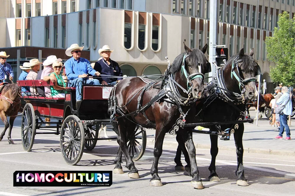 A horse drawn wagon carries passengers through the streets of downtown Calgary. 