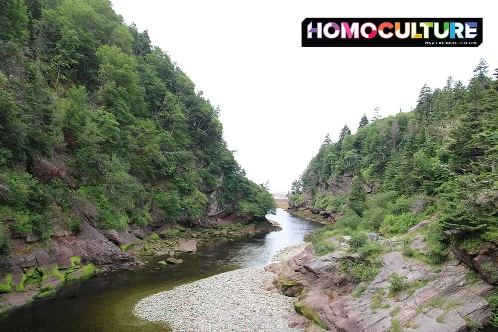 A river flowing into Fundy Bay in Fundy National Park.