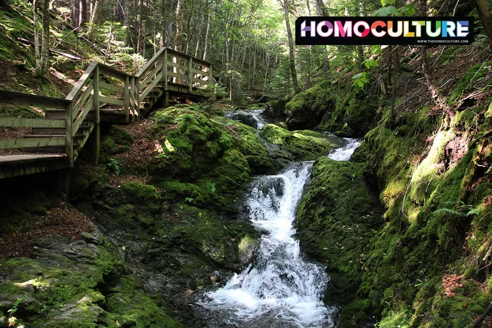 Dickson Falls in Fundy National Park near Alma, New Brunswick.