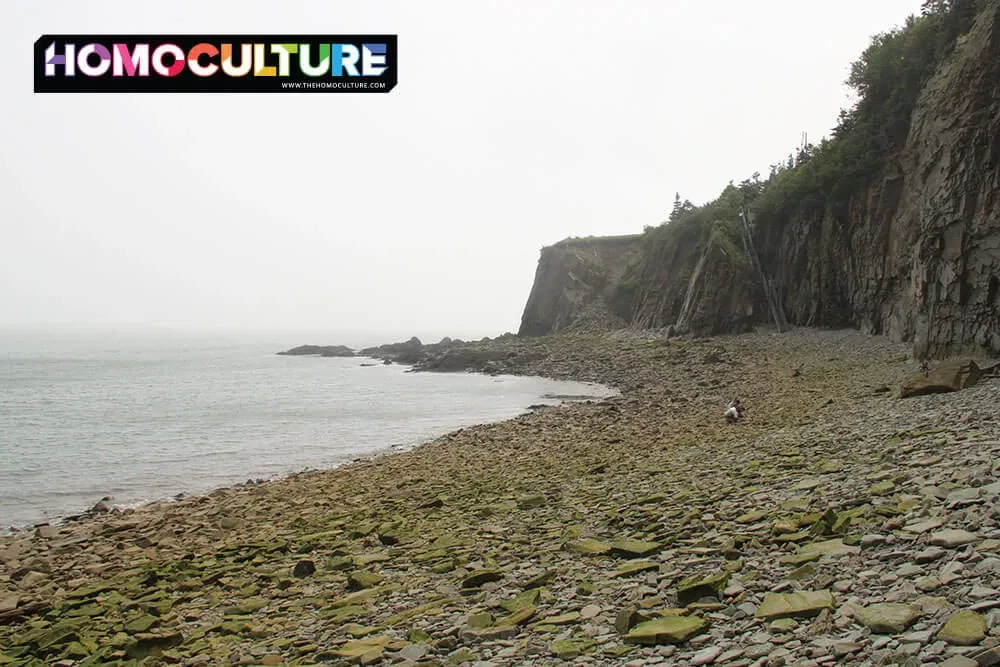 Fossil Hunting at Cape Enrage 