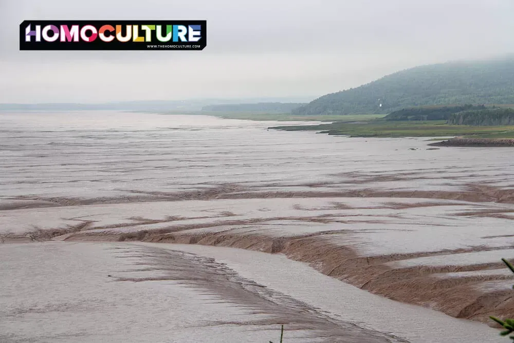 The mud flats at Hopewell Rocks in the Bay of Fundy during low tide. 