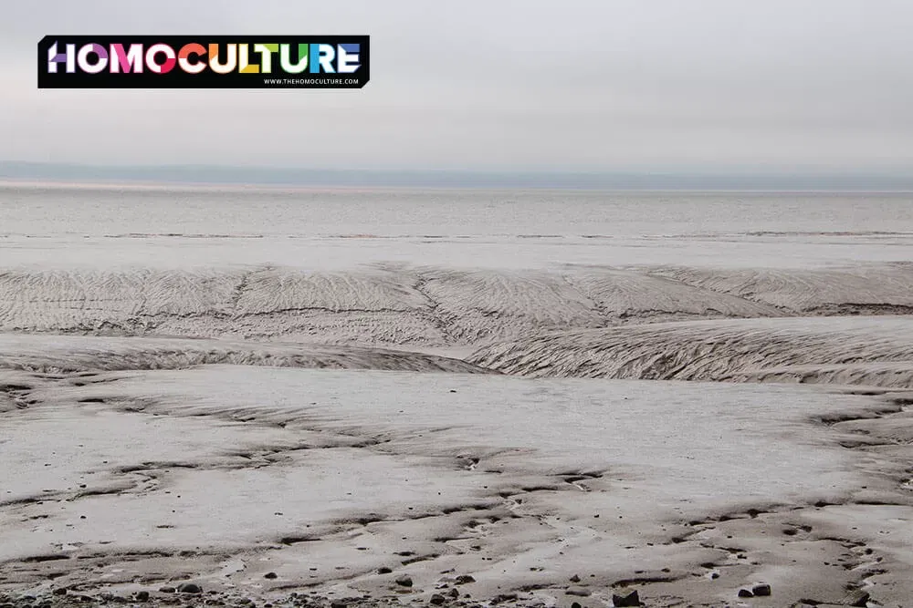 The mud flats at Hopewell Rocks in the Bay of Fundy during low tide. 