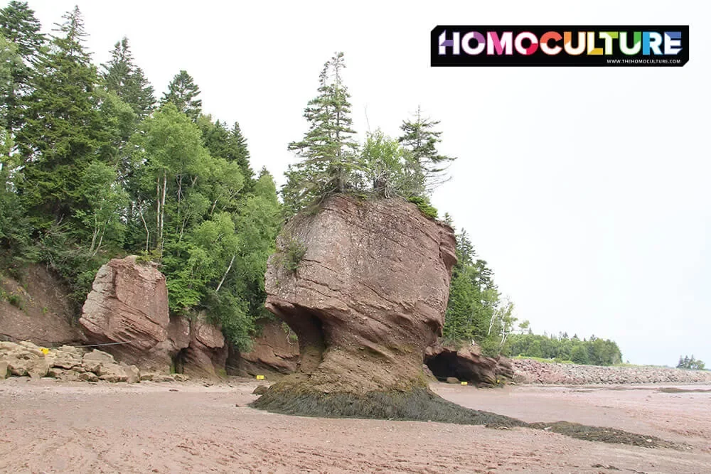 Hopewell Rocks in the Bay of Fundy, during low tide. 