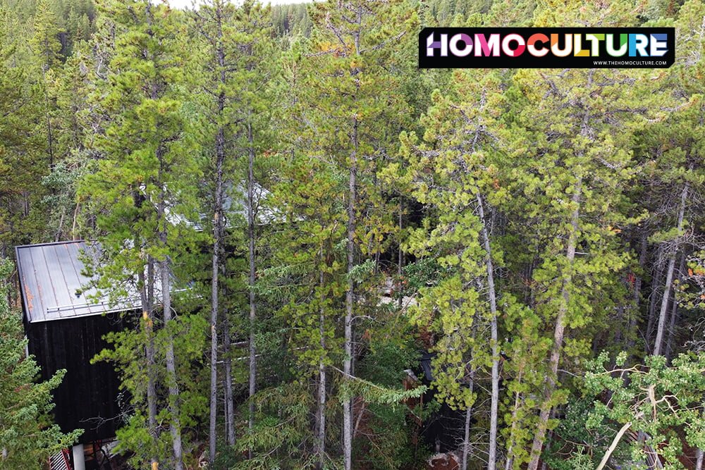 Experience Tranquility at Black Spruce Cabins in Whitehorse