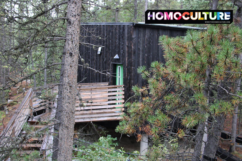 Experience Tranquility at Black Spruce Cabins in Whitehorse