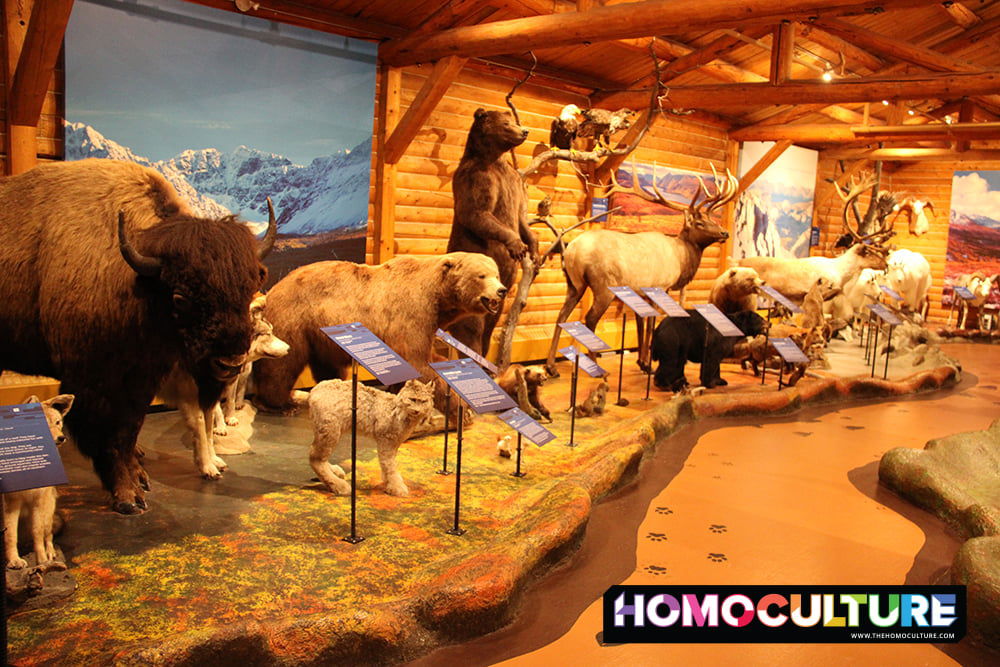 Make It Gay, Your Way, Visit Whitehorse in Canada’s Yukon Territory