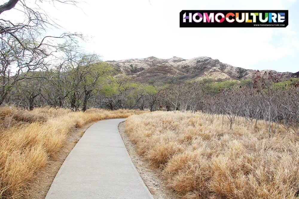 The concrete path, the first 25% of the trail, to the summit of the Diamond Head Volcano. 