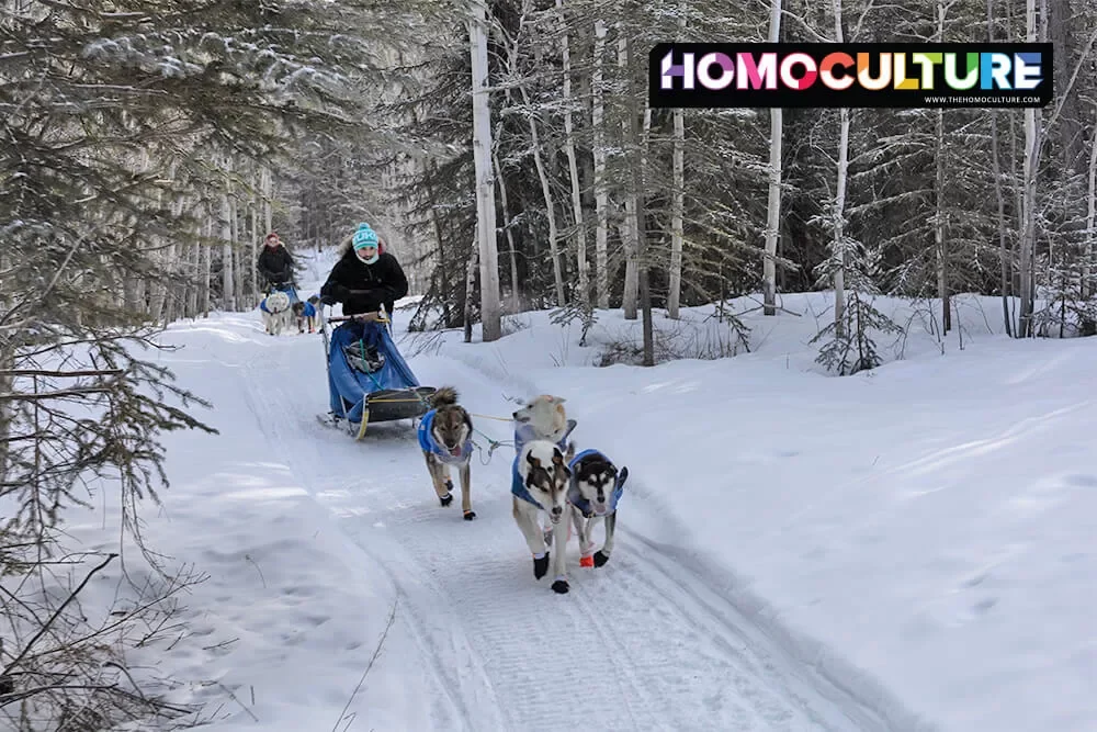 A group of gay travelers on a dogsledding adventure with MukTuk Adventures in Whitehorse, Yukon.
