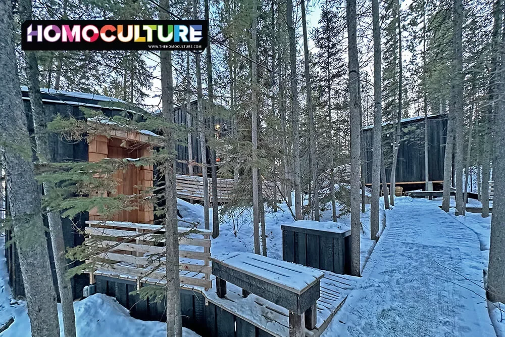 The Black Spruce Cabins in Whitehorse are your secluded forest getaway for LGBTQ travelers.