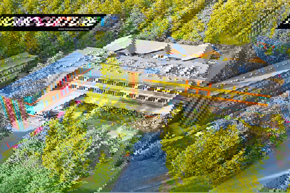 Aerial view of Hotel Zed Tofino, a vibrant, retro-inspired hotel surrounded by dense forest on Vancouver Island. The main building and colorful annex are nestled among tall evergreens, with visible outdoor amenities and a welcoming entrance.