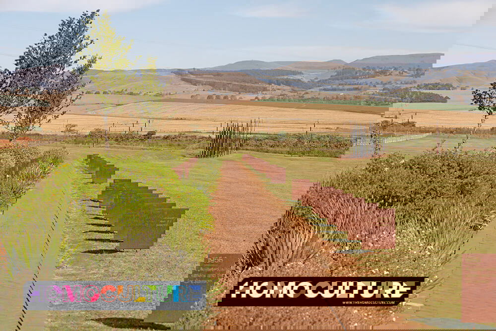 A timeline walkway at the Nelson Mandela Capture Site, leading visitors through major events in Mandela’s life toward the commemorative sculpture.