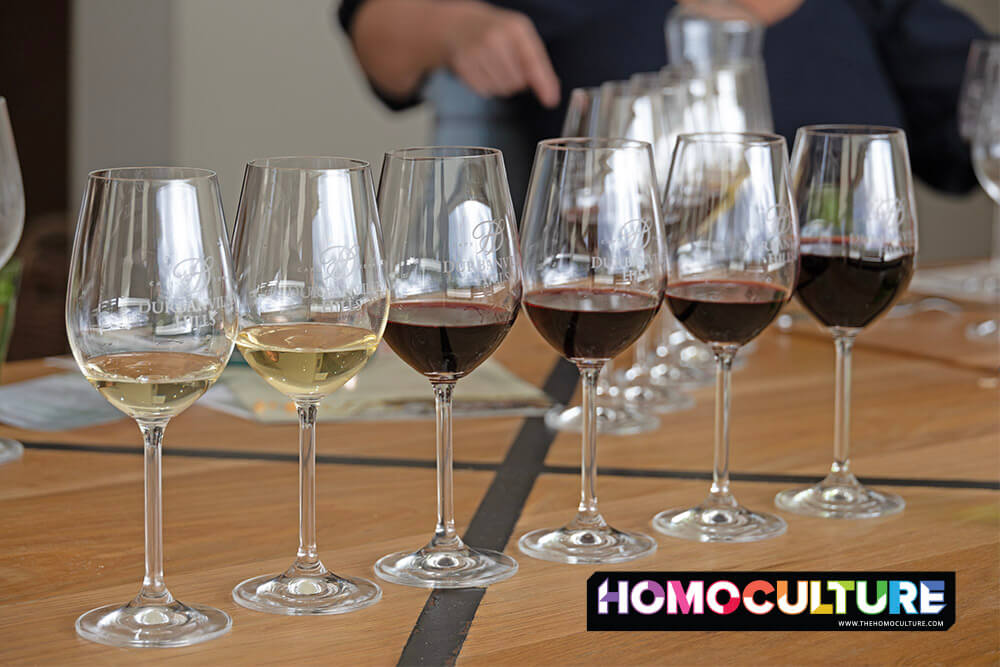 Close-up of a curated wine flight featuring white and red wines at Durbanville Hills Winery near Cape Town, South Africa, prepared for a guided tasting experience.