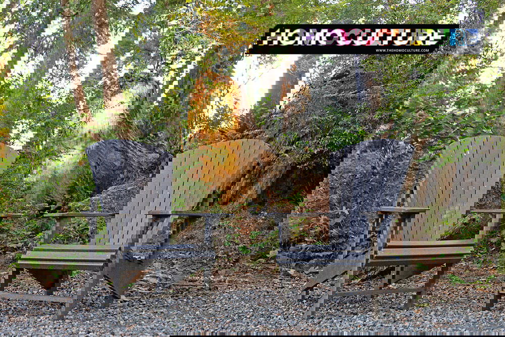 Two Adirondack chairs on a gravel patch nestled in the forest behind Hotel Zed Tofino, surrounded by tall trees and lush greenery, offering a peaceful spot for guests to relax and enjoy the natural West Coast setting.