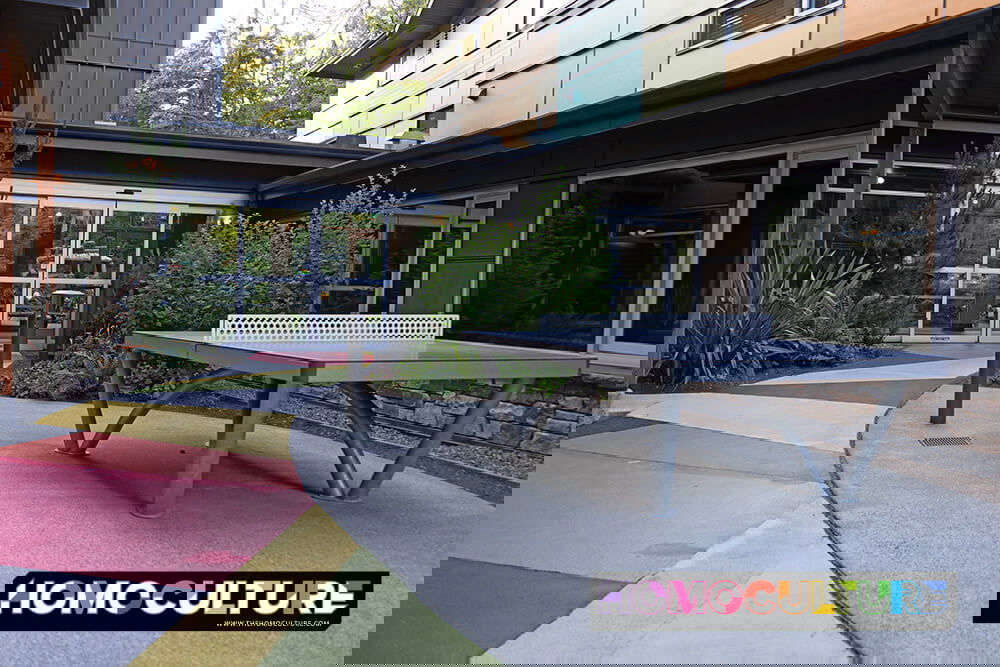 Outdoor ping pong table in the breezeway at Hotel Zed Tofino, set along a colorful zigzag pathway leading through the hotel’s covered courtyard, with the vibrant building exterior and lush landscaping in the background.